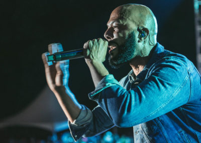 Common at The Roots Picnic 2019